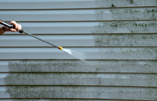 Best Gutter Cleaning  in Kearny, AZ