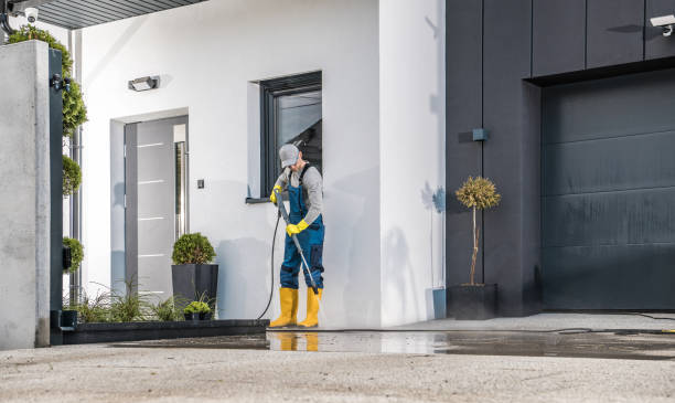 Best Rust Removal  in Kearny, AZ